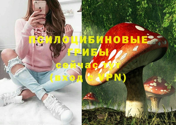 таблы Бородино