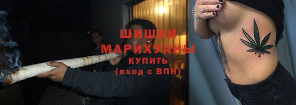 spice Верея