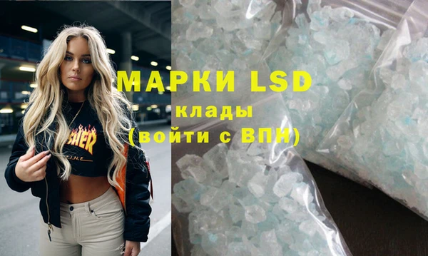 spice Верея
