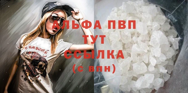 таблы Бородино