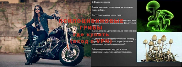 таблы Бородино