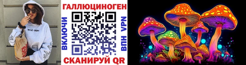 Псилоцибиновые грибы Psilocybine cubensis  где можно купить наркотик  Махачкала 