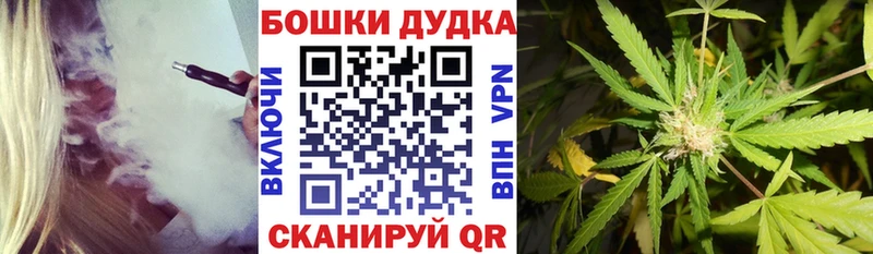 Конопля сатива Махачкала